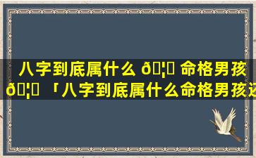 八字到底属什么 🦊 命格男孩 🦍 「八字到底属什么命格男孩还是女孩」